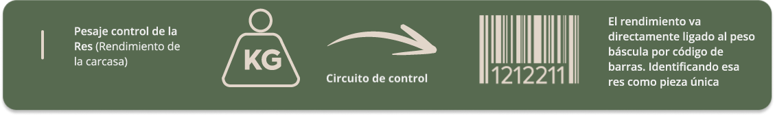 servicio mobile